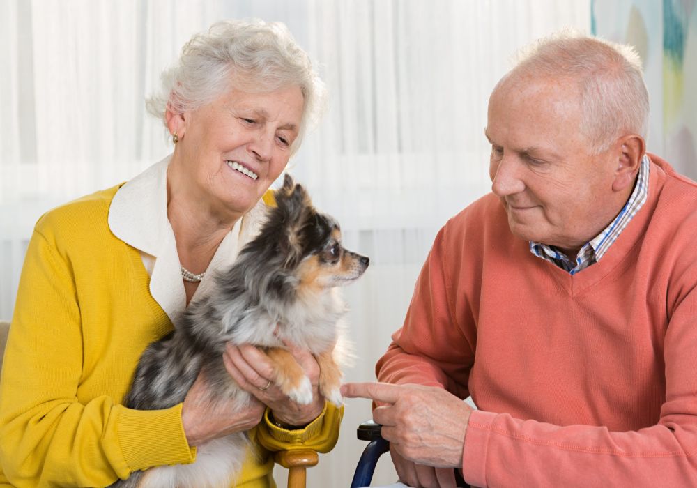 All About Pets in Senior Living Communities