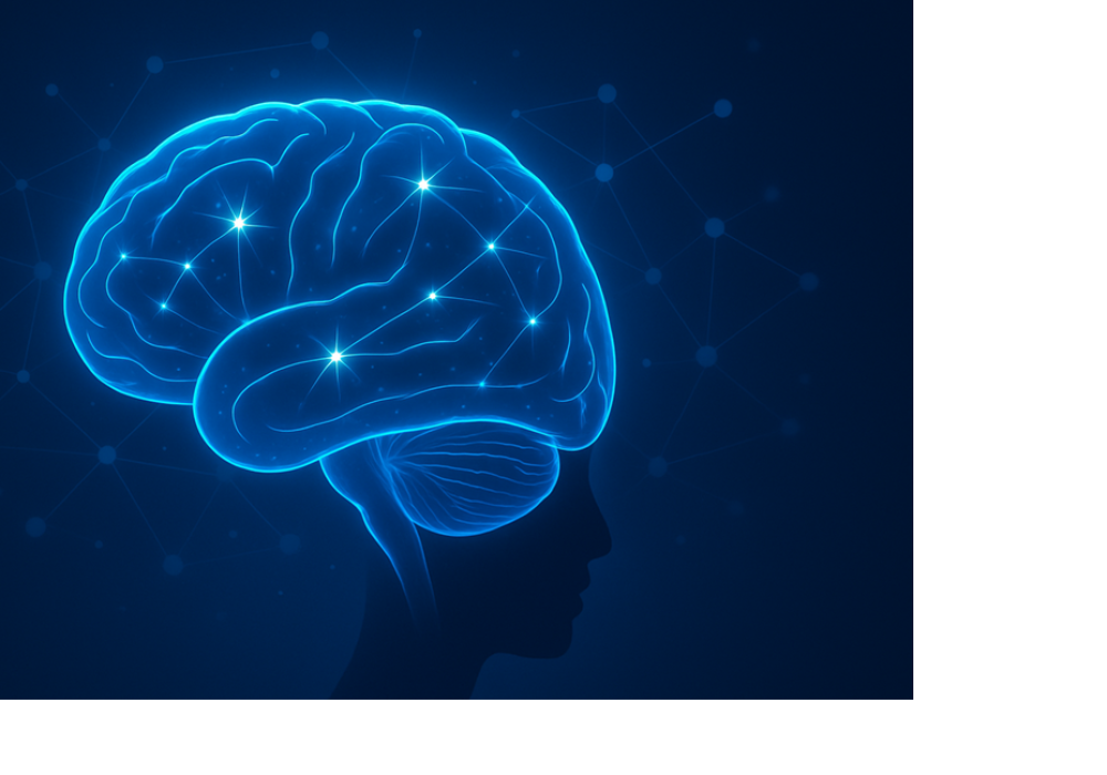 Latest Breakthroughs in Brain Health (2025): What Seniors Need to Know