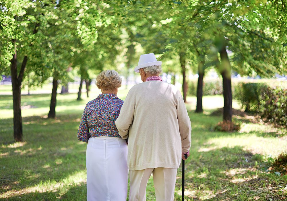 Senior-Friendly Exercise Guide: Strength, Cardio, and Stretching