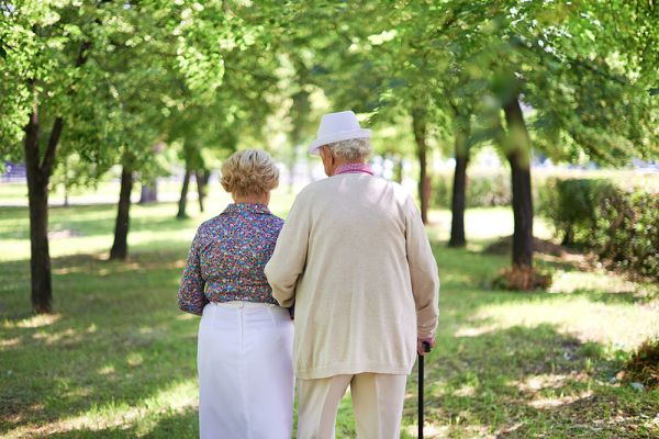 Senior-Friendly Exercise Guide: Strength, Cardio, and Stretching
