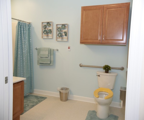 Renaissance of Annandale