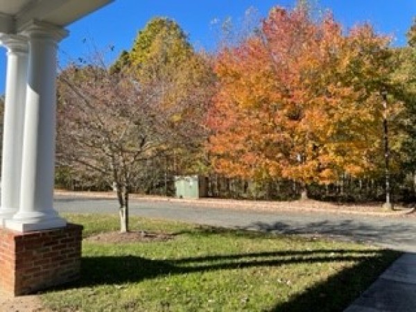 Noble Senior Living at Louisa
